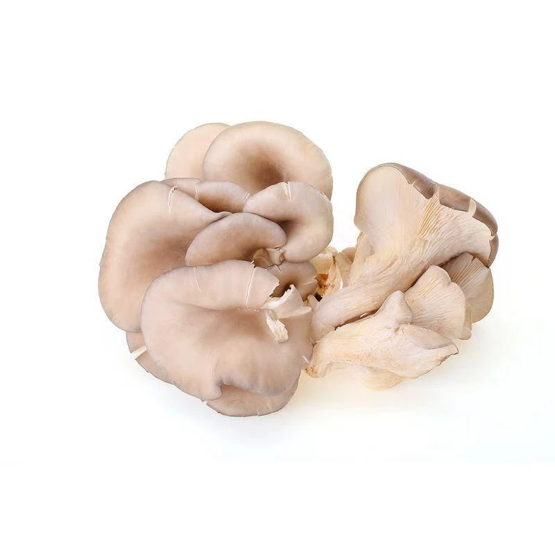 小平菇约350g±20g
