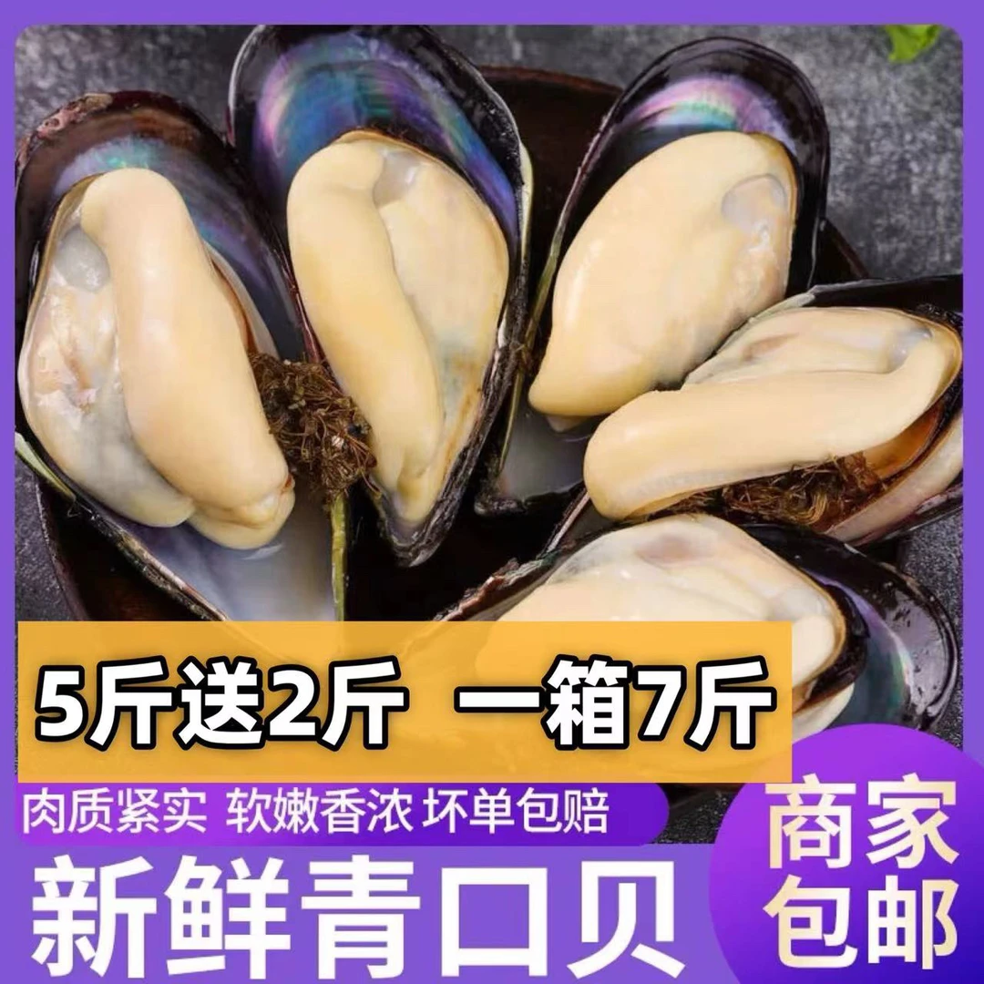 顺丰发货 大号青口贝(一斤10只左右)淡菜 非小海虹 4斤7斤