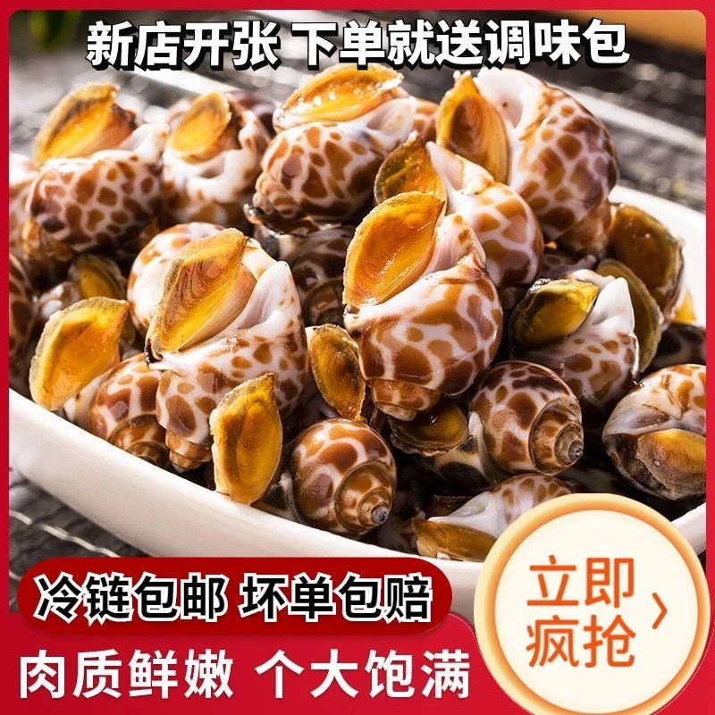 连云港发货 新鲜花螺 鲜活冷冻发货 4斤 送海鲜炒料送蒜蓉酱