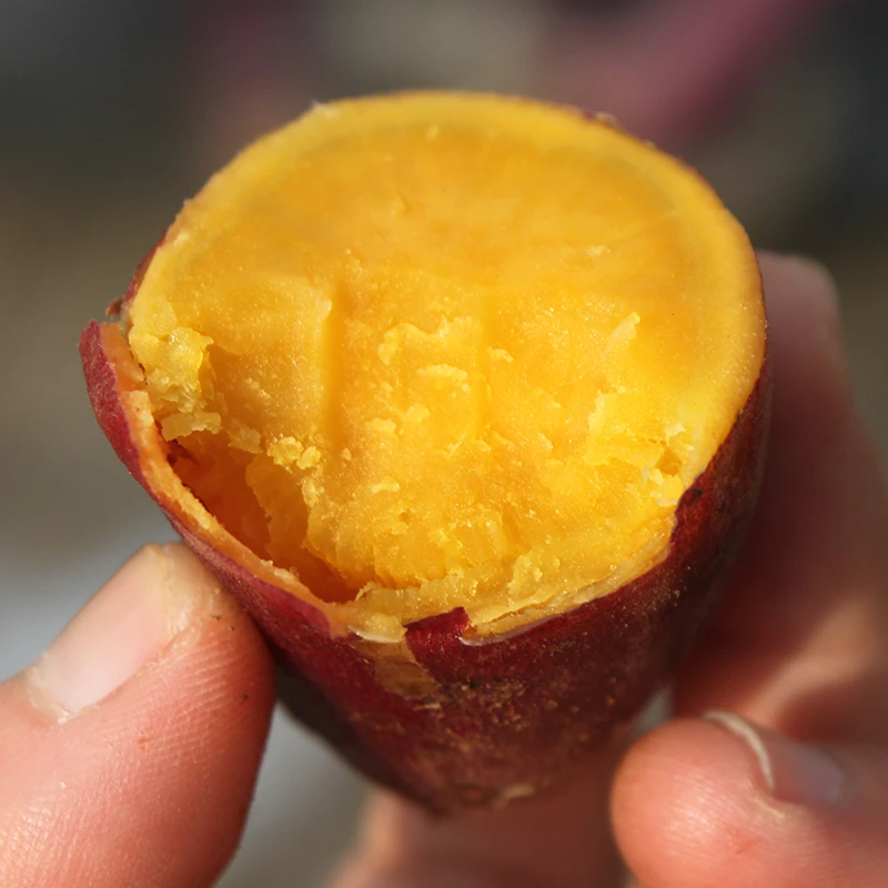 （活动链接）新鲜小香薯3斤软糯香甜