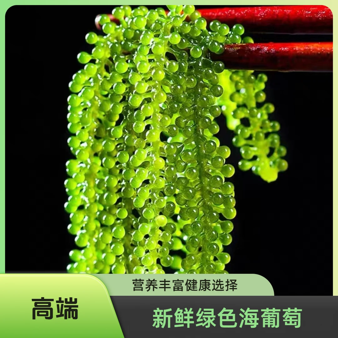 海葡萄脆爽营养绿色健康零食食用美味每包100g实发5包食品