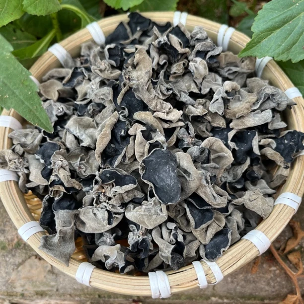 深山黑木耳  现收山货土特产