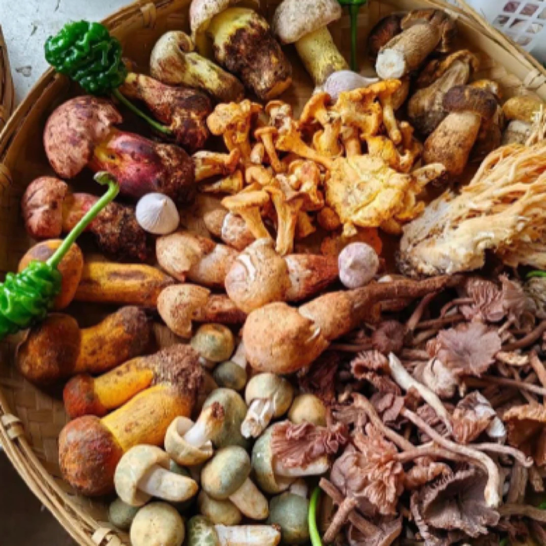 临时菌菇（实际斤数以直播为准）