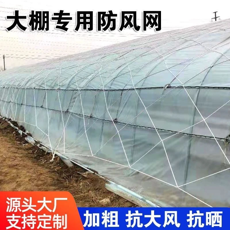 大棚防风网防护网尼龙网货物种植养殖网大孔压膜绳网挡风网大棚网