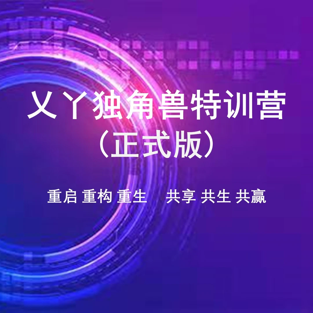 【标准版2.0】独角兽特训营 峰会与融资无关 仅为学习资本思维