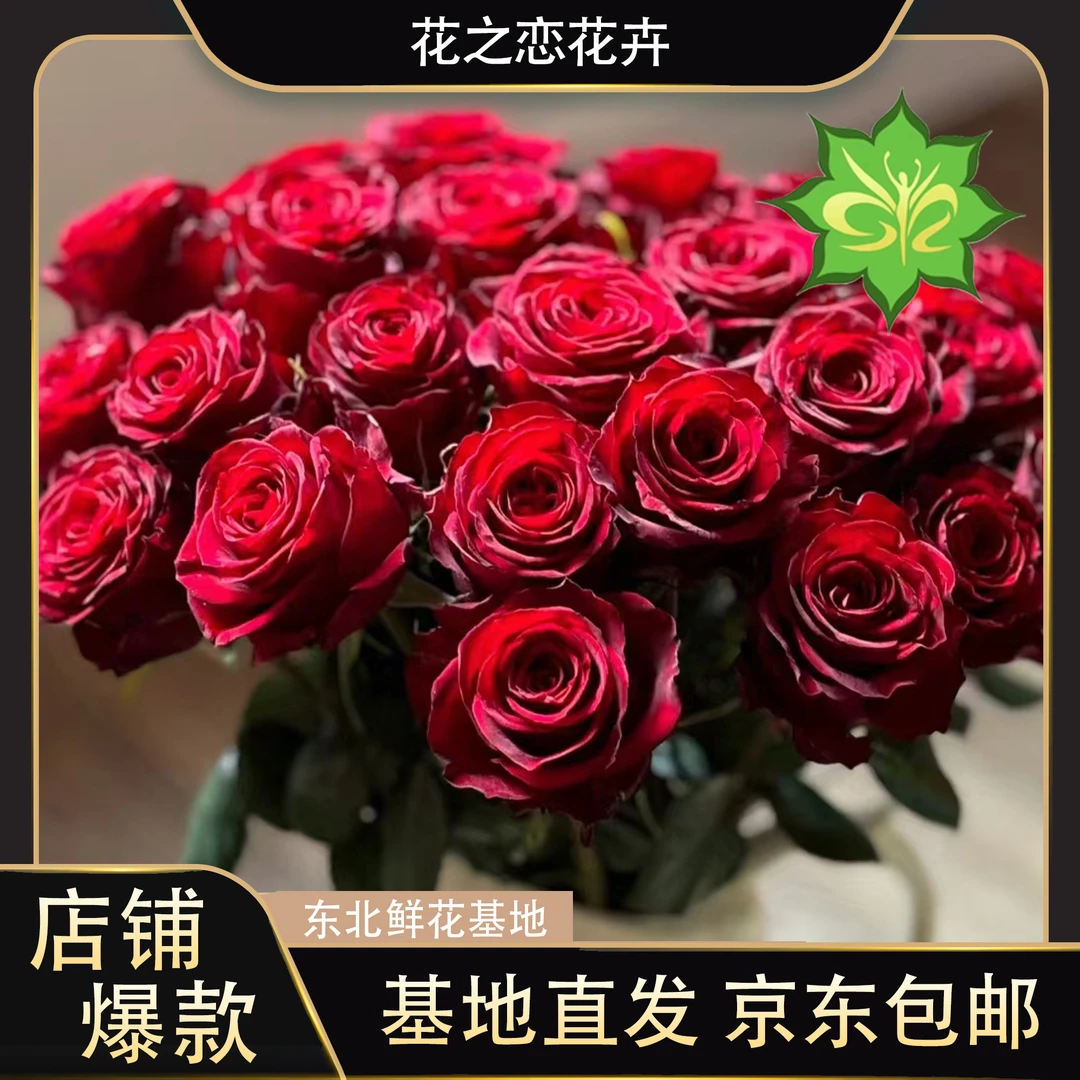 红色玫瑰花   居家办公优选《东北基地发货》