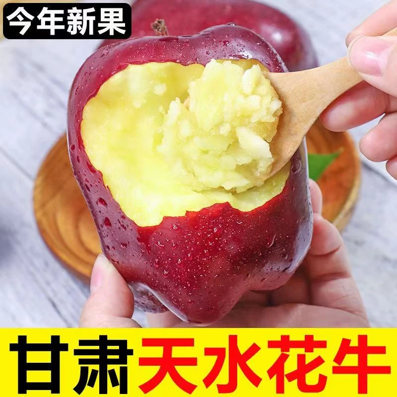 【顺丰包邮】甘肃天水花牛苹果粉面产地直发粉糯香甜婴儿辅食新鲜