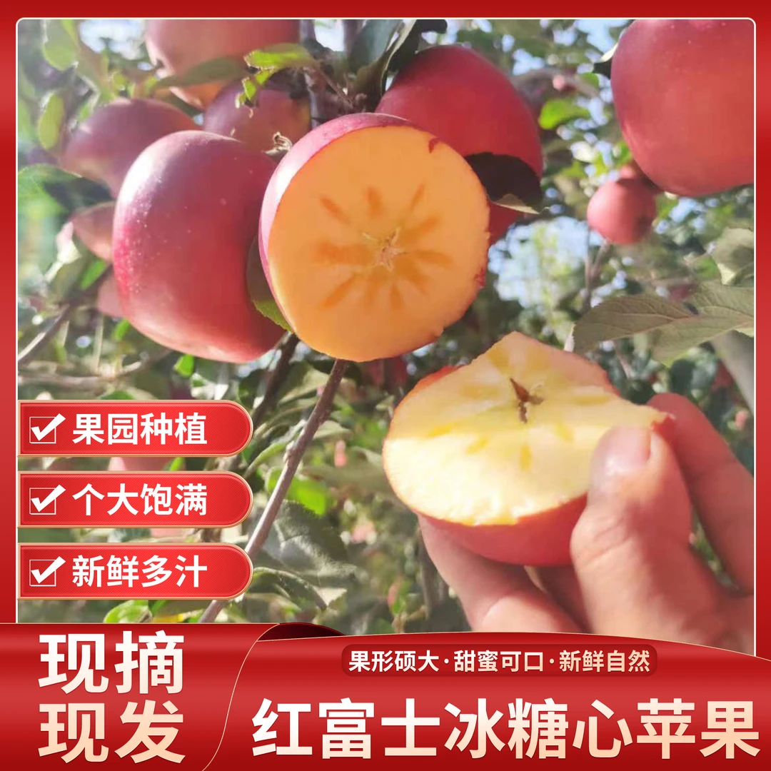 【糖心苹果】2023昭通新水果特产脆甜高山苹果现摘现发包邮5/10斤装