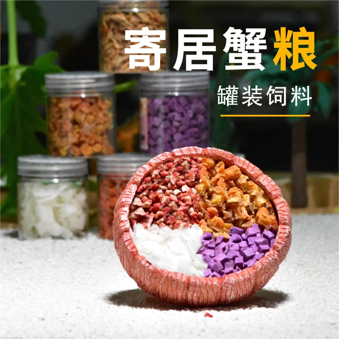 【寄居蟹主粮零食】椰子片虾干胡萝卜干紫薯冻干草莓干发色饲料营养