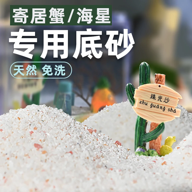 珠光砂海星底砂造景派大星小黑的动物园免洗寄居蟹