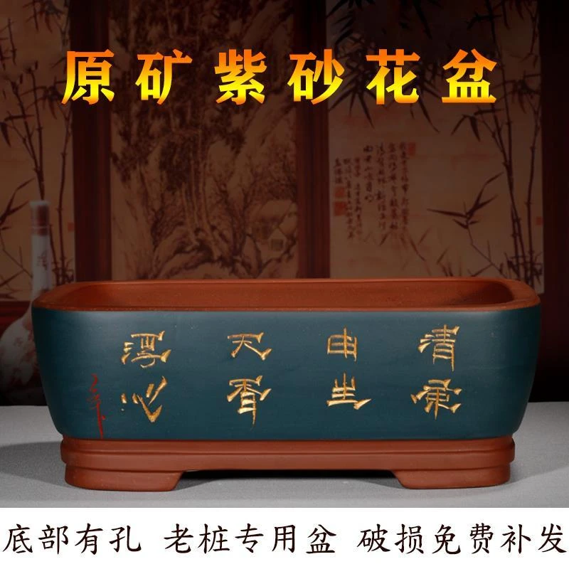 紫砂花盆长方形促销盆室内花卉植物文竹盆景盆陶瓷长方形梅花盆栽