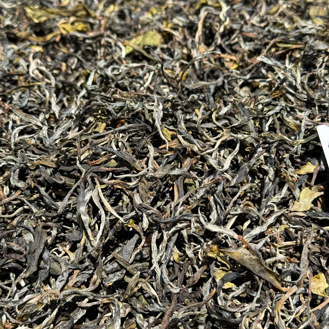 2024年3月10-16号王子山一号地100克散茶普洱生茶