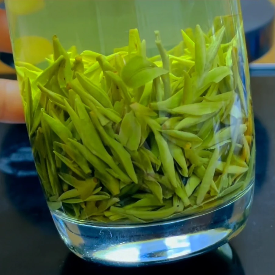 2025明前龙井【3-8-8】