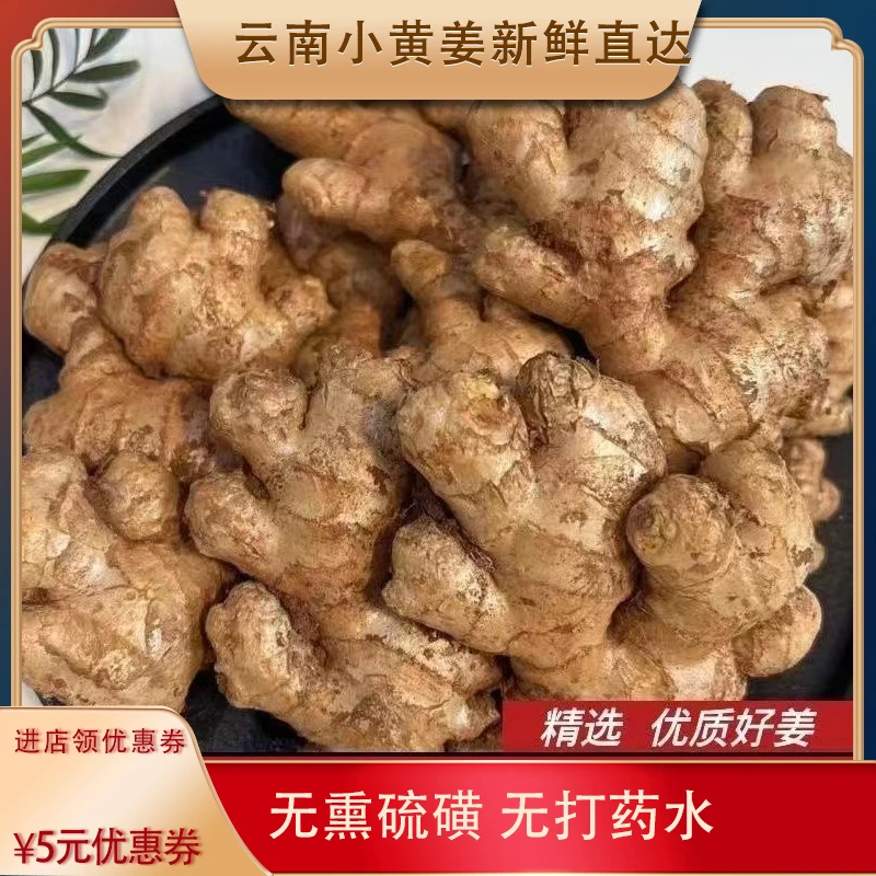 【正宗云南精品小黄姜】0.5-9斤坏果包赔鲜姜老姜土姜嫩姜超低价