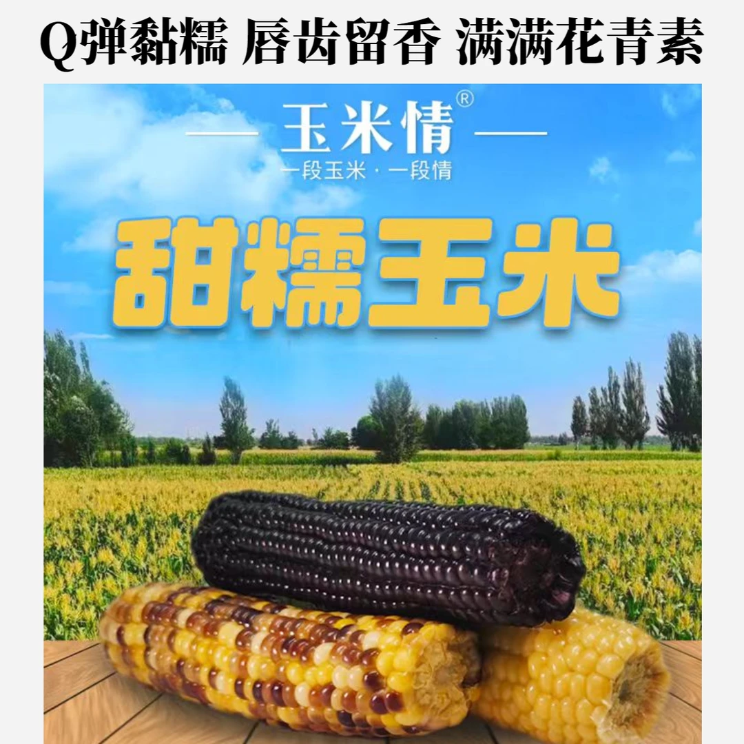 玉米情绿色黑糯玉米Q弹黏糯拍6送2到手8穗真空包装
