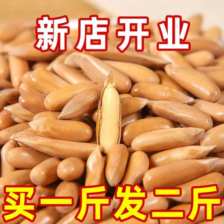 阿富汗新货特大颗粒松子装巴西松子罐装炒货8g坚果孕妇零食饱满