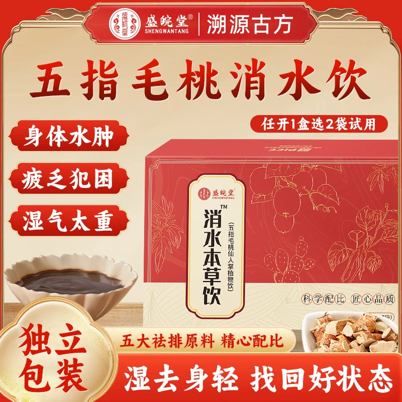 盛皖堂 五指毛桃仙人掌植物饮T3