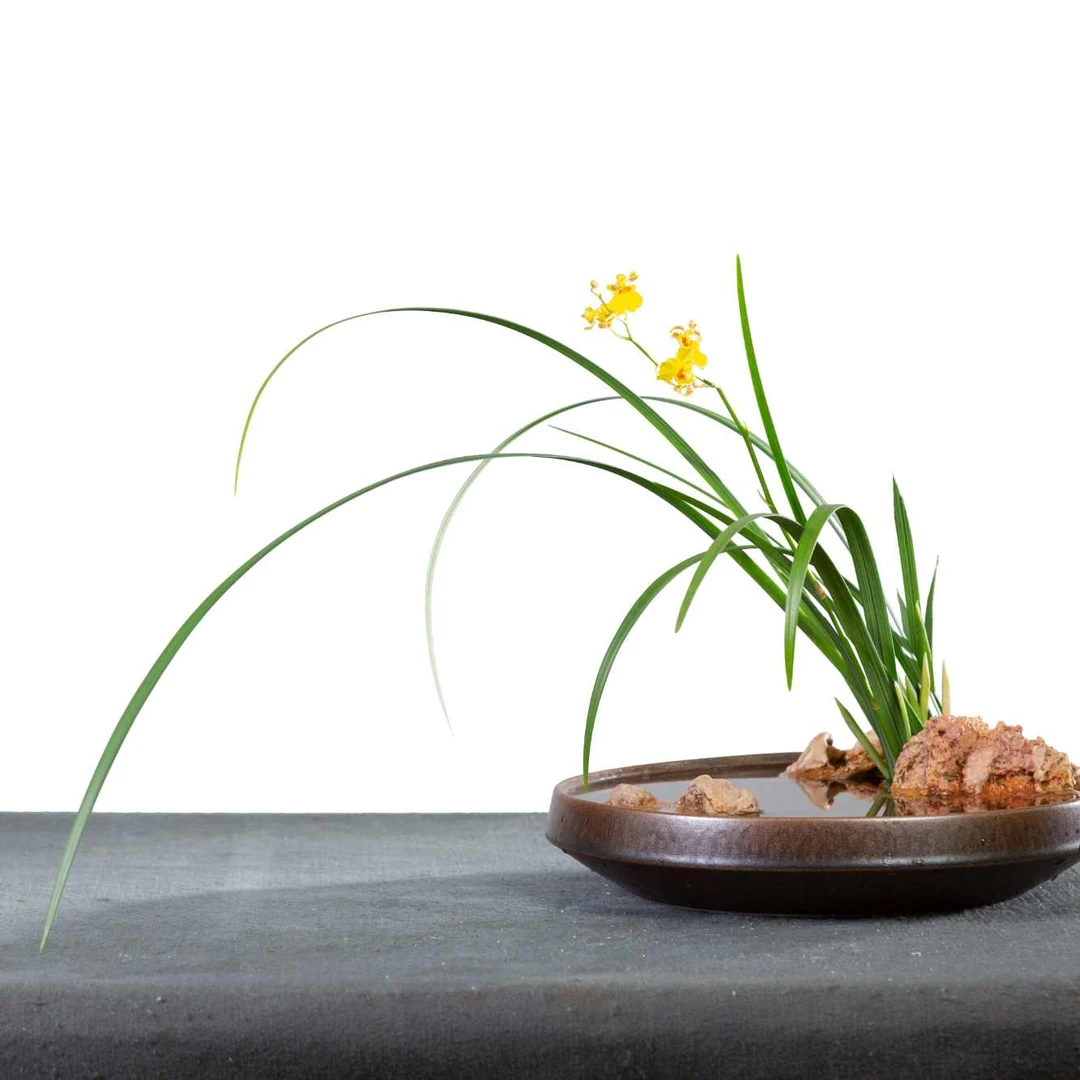 东方插花艺术必修课程，学习偏旁部首插法