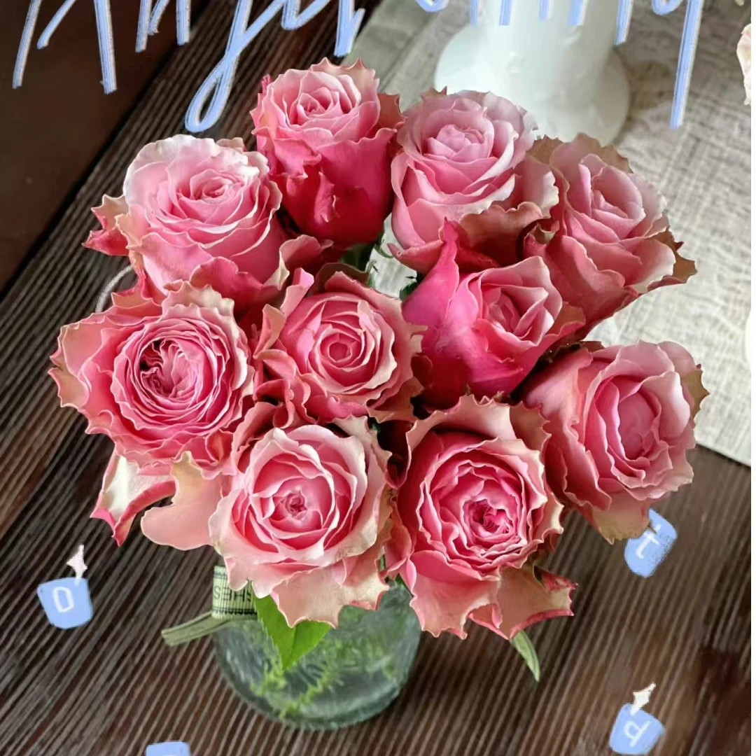 伯利兹玫瑰【同一地址任意两单送配草，三单可备注送园艺剪刀】