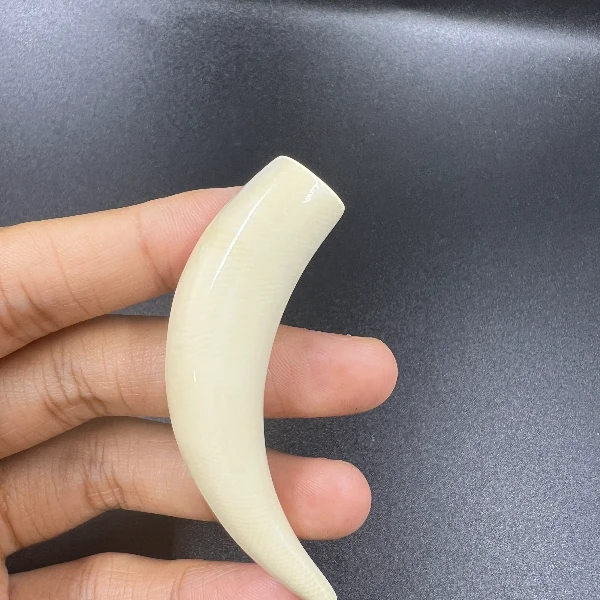 F8309天然猛犸牙尖 支持鉴定 假一罚四