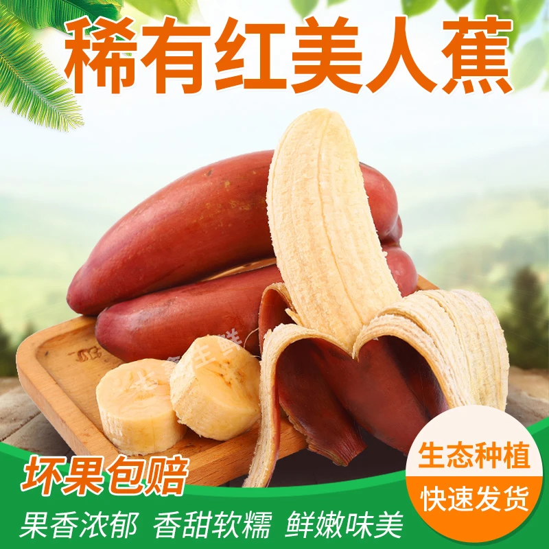 生态正宗红美人香蕉红皮应当季新鲜水果自然成熟果香天然采摘软糯