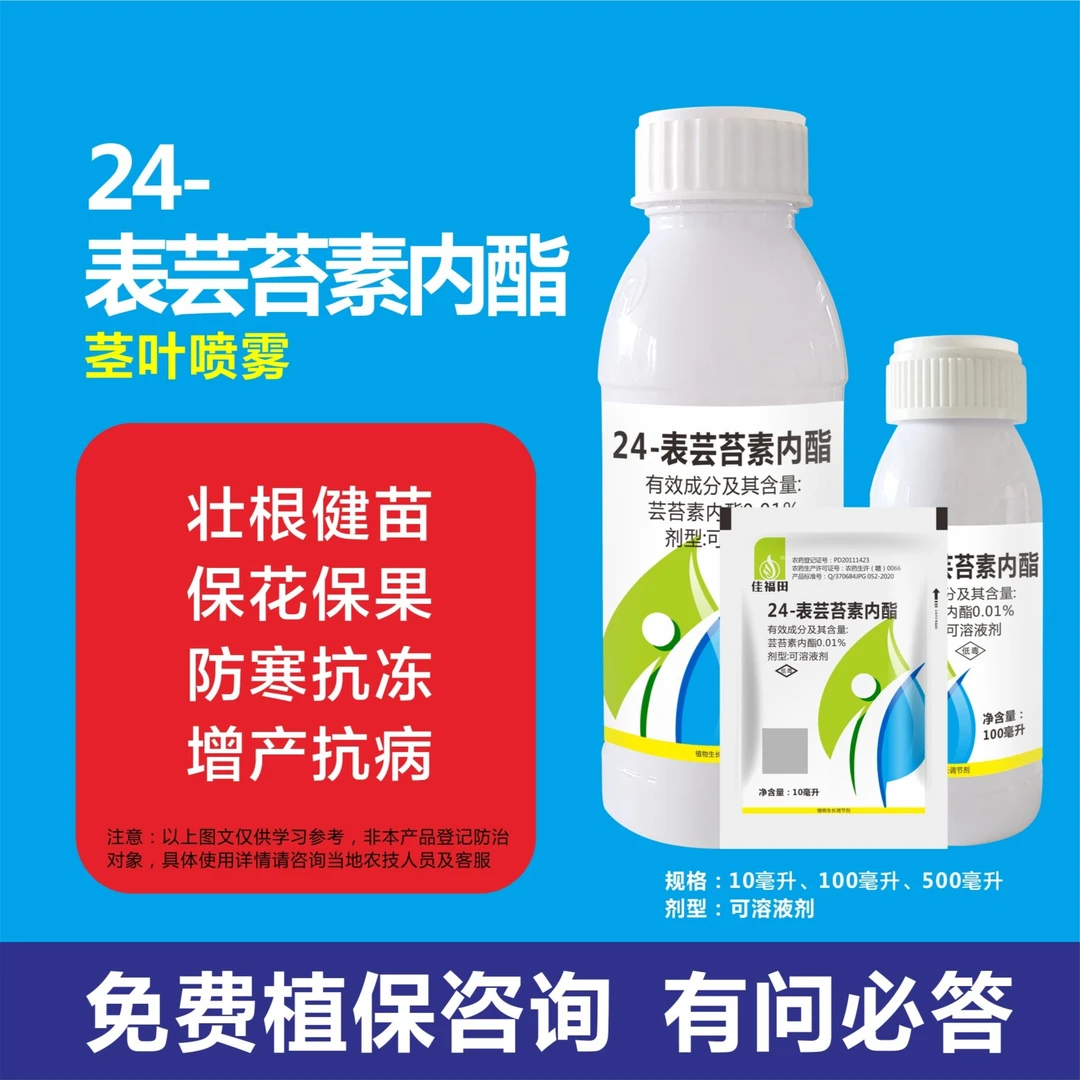 佳福田芸苔素内酯植物调节剂壮根健苗保花保果防寒抗冻增产增收