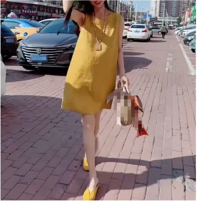 时尚潮流百搭精品女装zsx20081