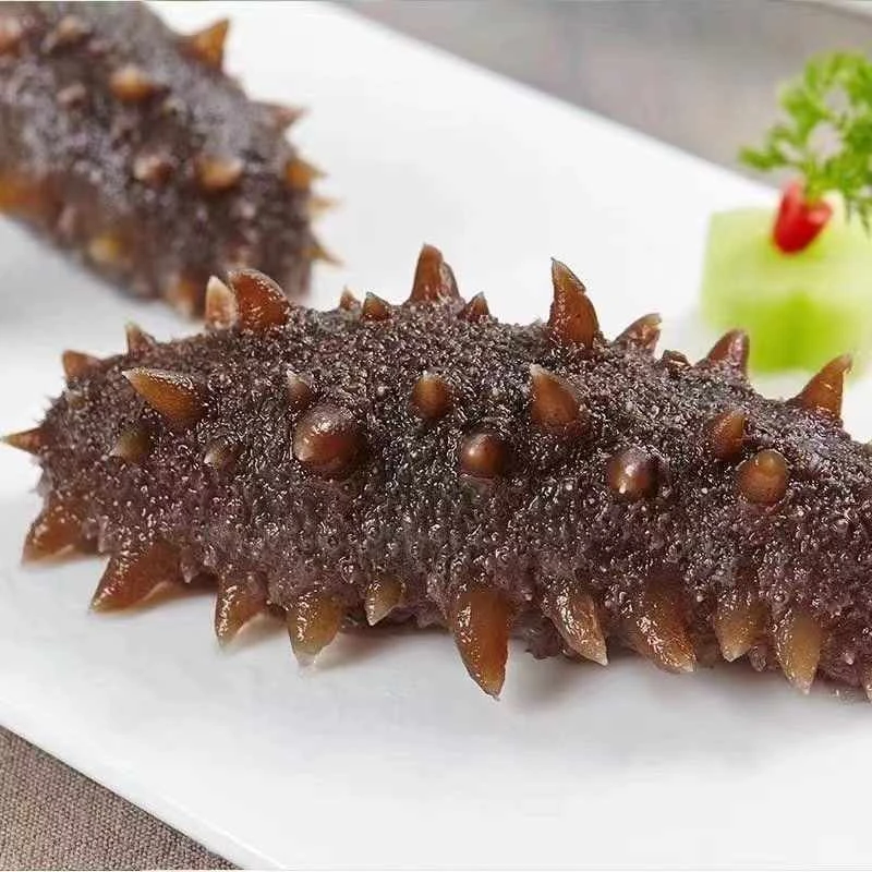 青岛发货渤海湾即食海参33只5-7厘米左右 加送两只试吃装