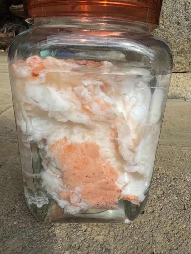 云南山货土特产【石～太～岁】50克起拍