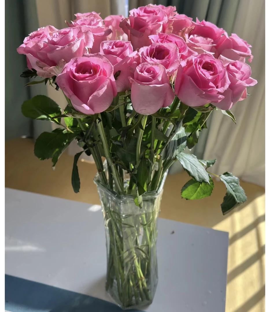 【云巅之花】苏醒系中等花型 云南鲜花基地直发