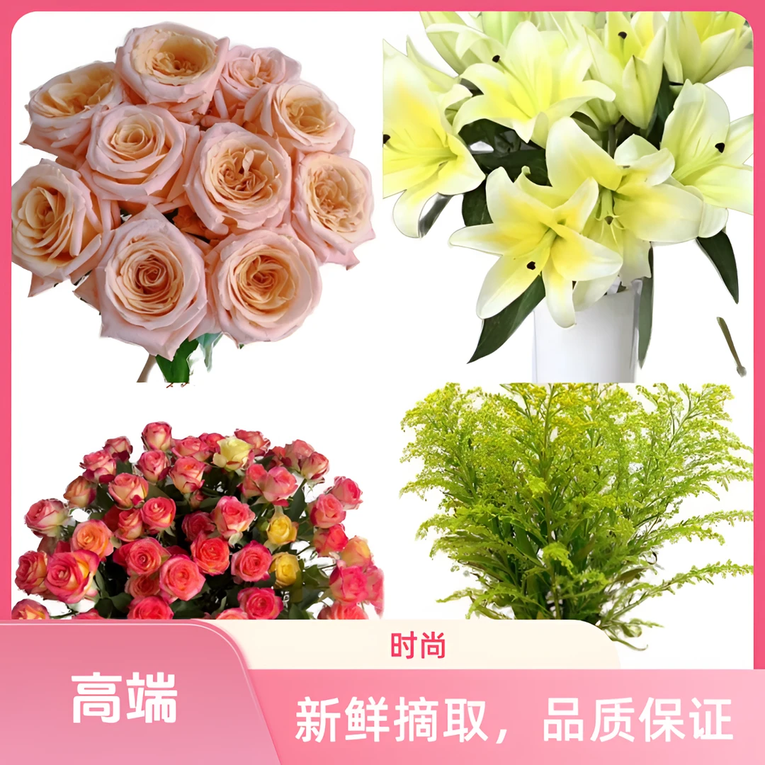 【云巅之花】新鲜完美鲜花组合 颜色鲜艳丰富多彩 云南鲜花基地直发