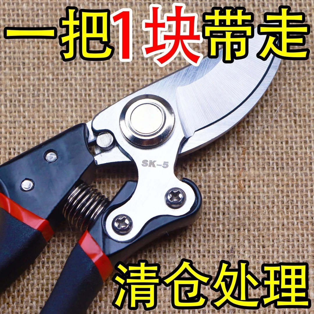 海外爆款钢大号省力修枝剪刀园艺修花木果树嫁接园林剪农用工具