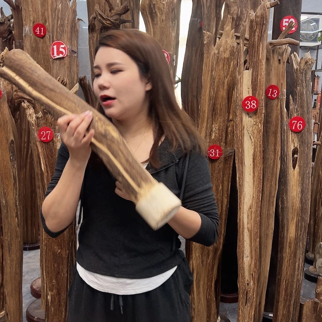 沉香摆件沉香原料摆件工艺品