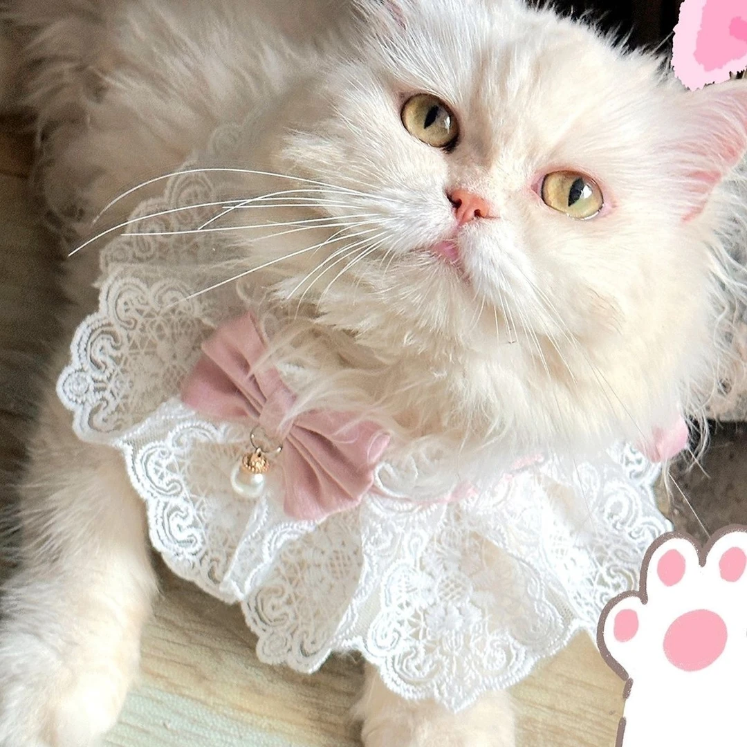 宠物猫咪狗狗围脖项圈口水巾围兜幼小布偶脖饰衣服装饰品配饰装扮