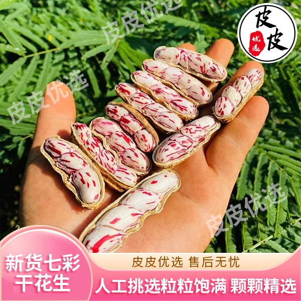 2024新鲜咸干七彩花生带壳晒干特产用心挑选优质精品品质酥脆香甜