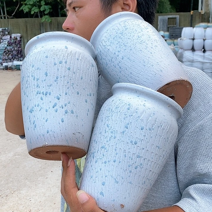 红陶20CM以下正品