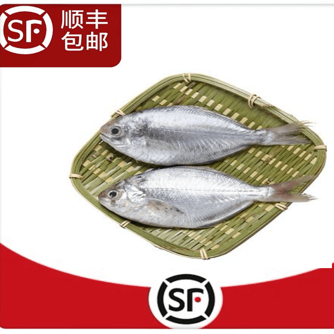 【南鲳/肉鲳】神泉本港野生网捕南鲳鱼5斤补钙海捕速冻顺丰冷链包邮