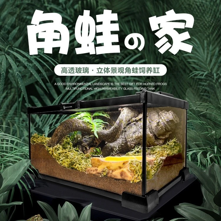 宠物角蛙造景玻璃饲养缸生态环境爬宠缸雨林缸水陆缸景观箱