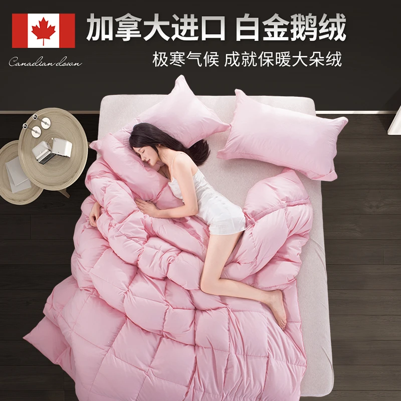 XIAN'E/仙娥加拿大进口白金白鹅绒春秋四季被加厚冬被