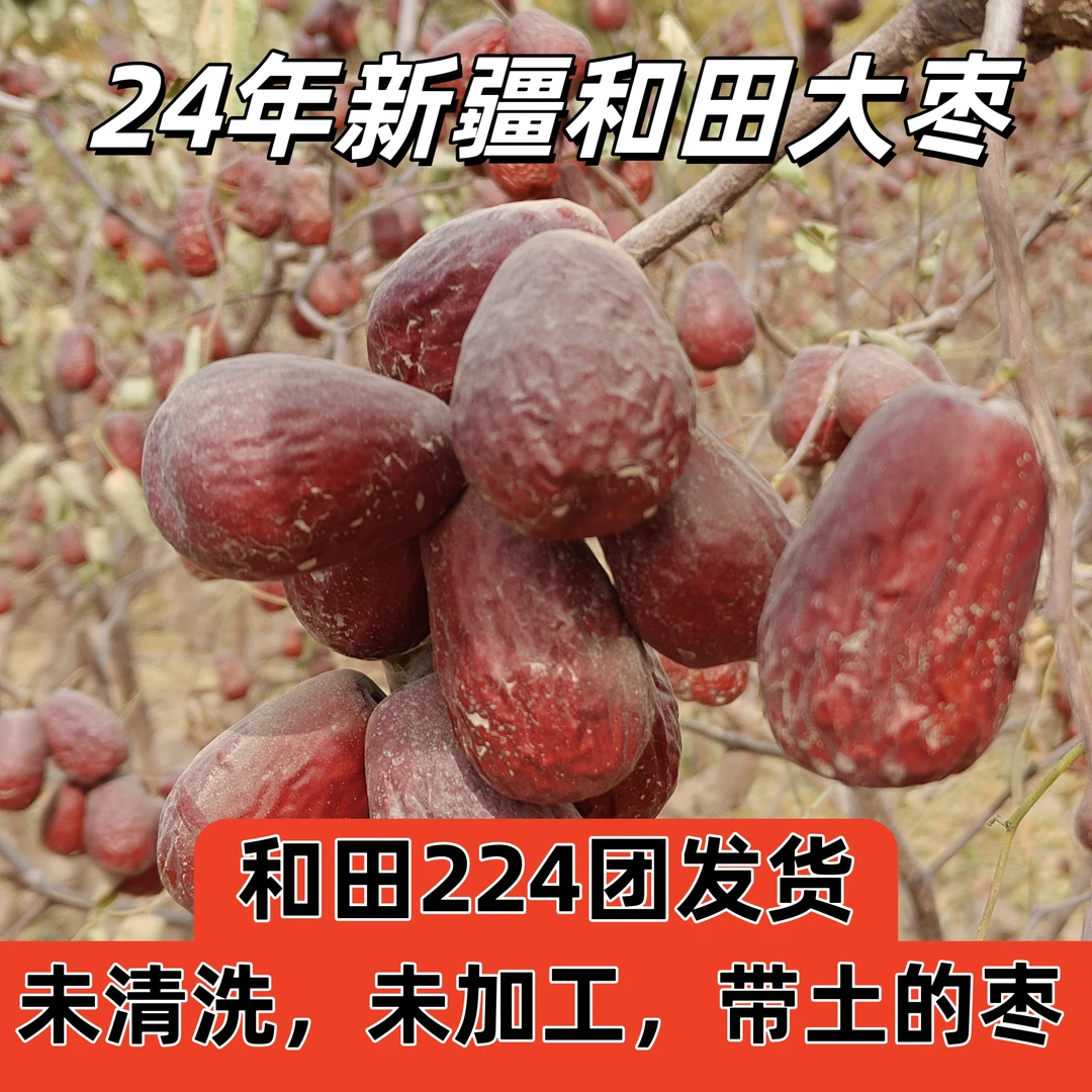 【福利价】新疆和田大枣，未清洗带土自然吊干和田大枣适合煲汤煮粥