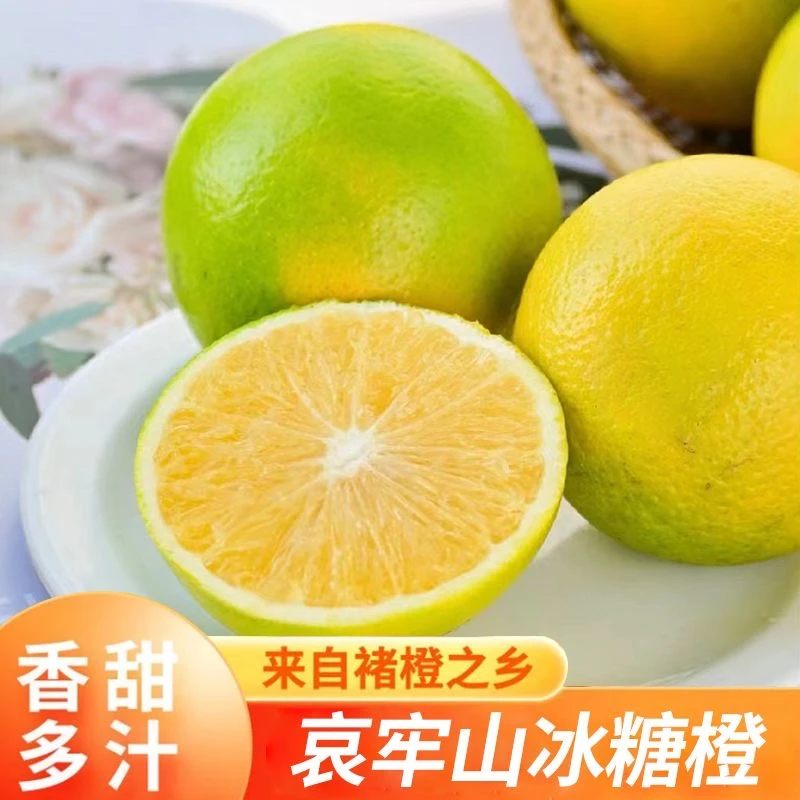 【直播福利】云南正宗玉溪哀牢山冰糖橙橙子当季新鲜多汁现摘现发