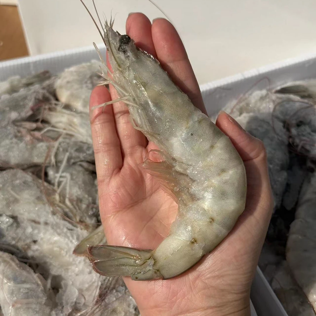 3040海洋大虾约50-60只左右净重约3.3斤盐冻虾厄瓜多尔白虾捕捞