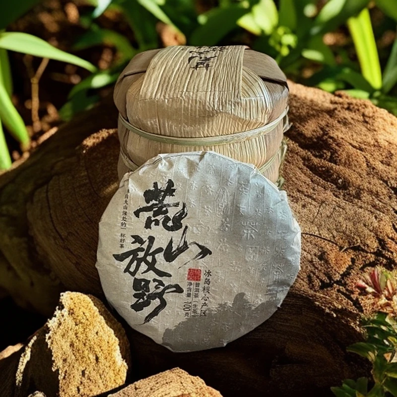 [冰岛荒山放野】2024年自家荒野森林古树茶 普洱茶饼茶100克/6饼