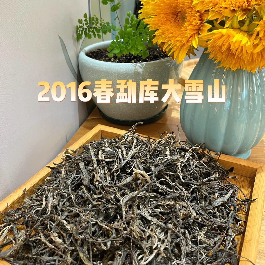 2016春 勐库大雪山散茶200g普洱生茶
