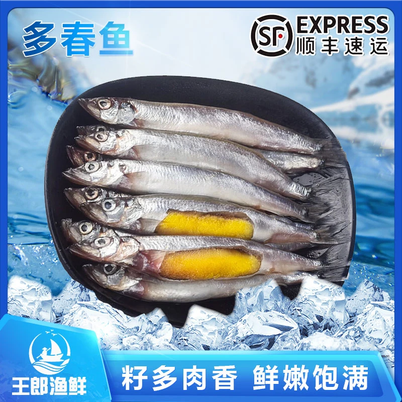 【沙大爷专属】多春鱼 冰岛冷冻满籽多春鱼 200g/袋 顺丰包邮