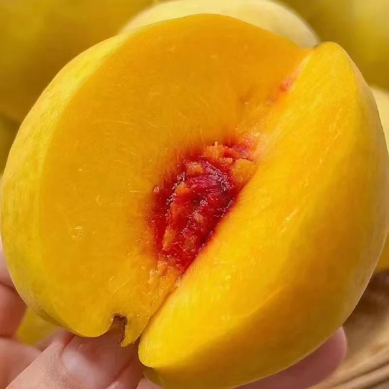 （航航妈专属）夏日尝鲜黄金蜜黄毛桃