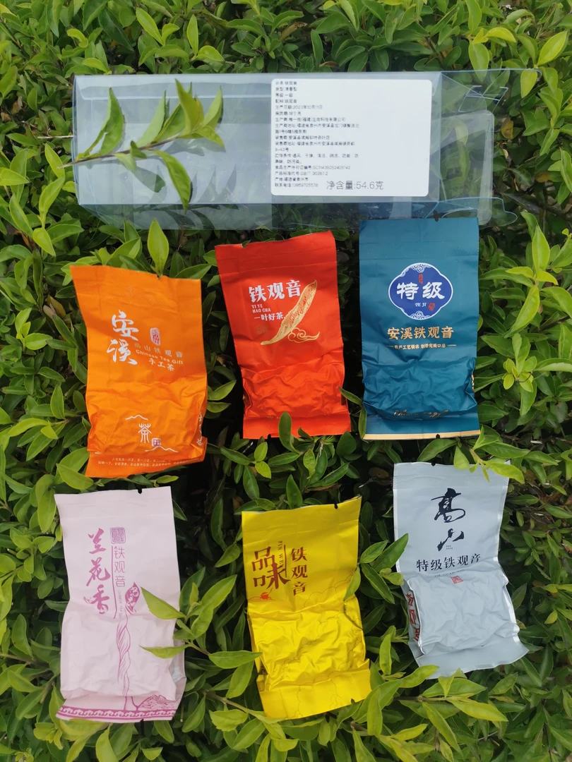 【6泡品鉴装铁观音】新人粉丝福利品  正宗安溪铁观音清香型 兰花香