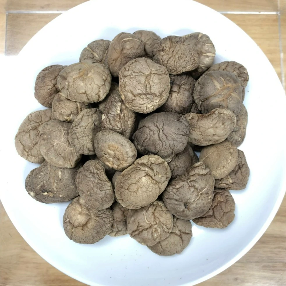 精选  厚肉无硫   靓冬菇（胶）