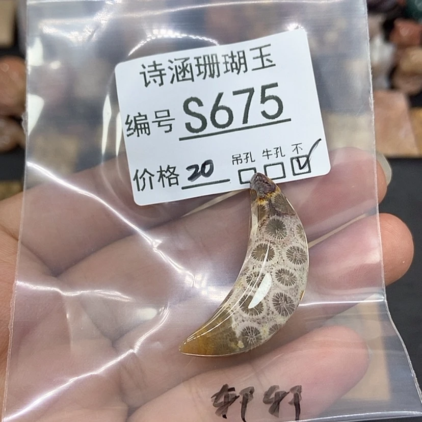 【闪购商品】硅化珊瑚（珊瑚玉）颈饰未镶嵌轩*S675