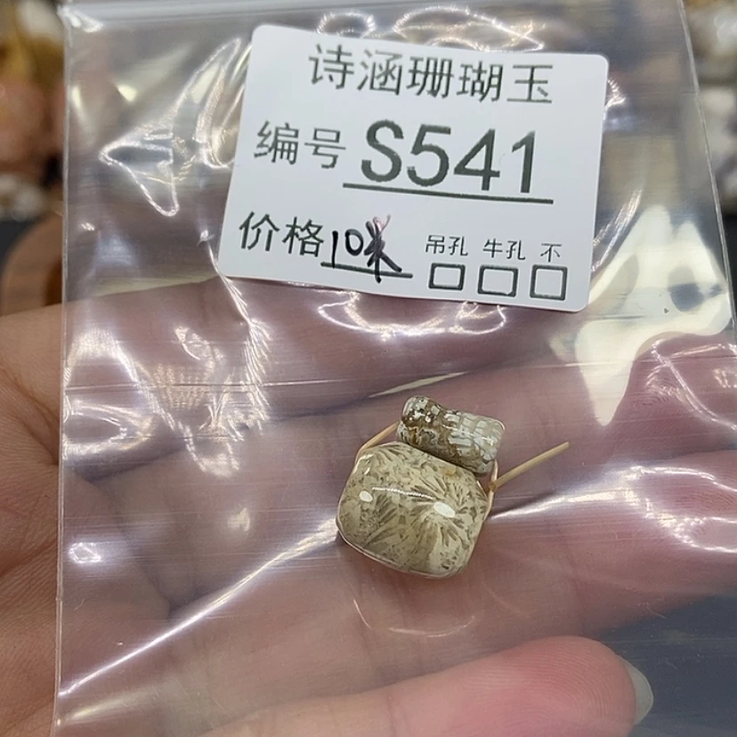 【闪购商品】硅化珊瑚（珊瑚玉）颈饰未镶嵌踏**行S541